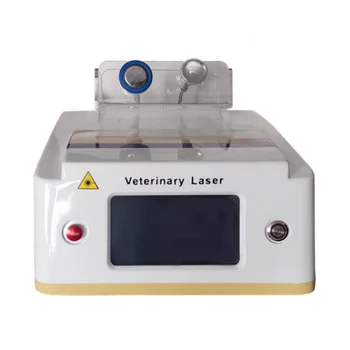Лазерное оборудование 960-нм Ветеринарный Хирургический терапевтический Лазерный инструмент 4-го класса Ветеринарный лазер Iv-го класса Ветеринарный лазер
