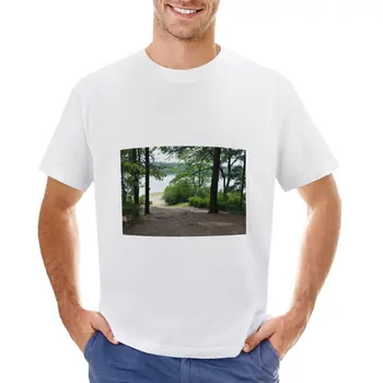 Футболка Walden Pond, спортивная одежда kawaii, мужские футболки с рисунком аниме